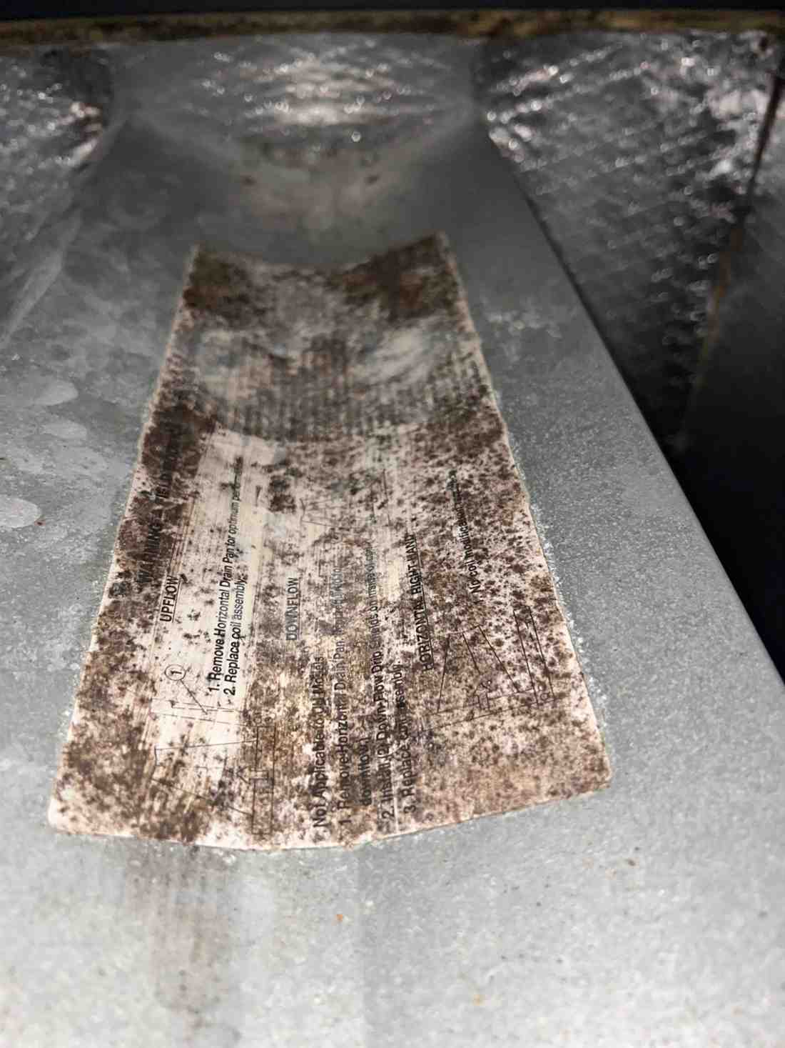 Mold on an HVAC supply plenum before cleaning in Dallas, TX