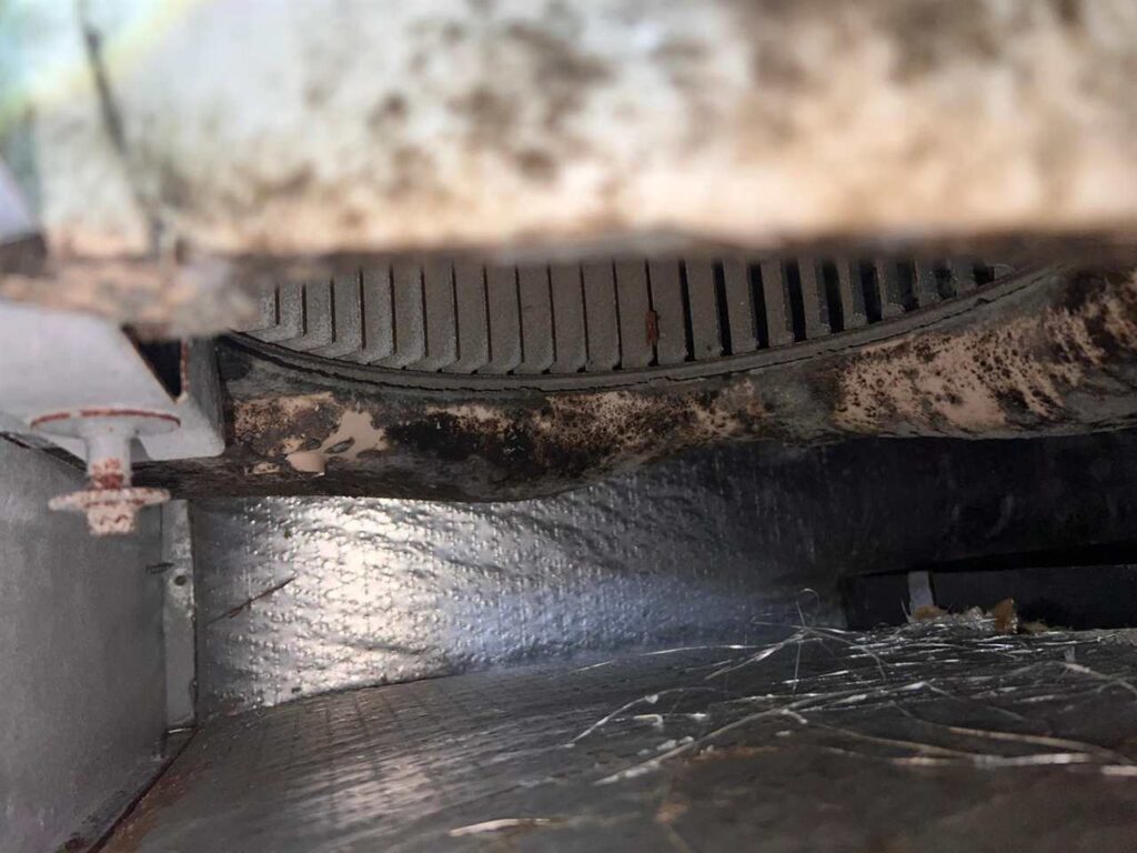 Mold inside an HVAC plenum before cleaning in Dallas, TX