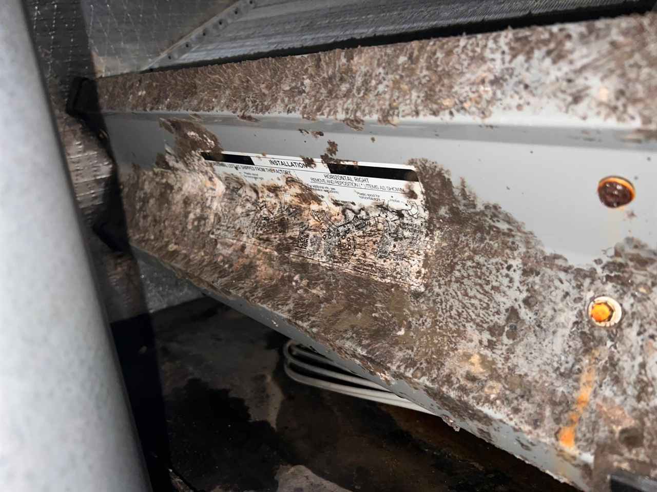 Heavy mold inside an HVAC air handler before cleaning in Dallas, TX