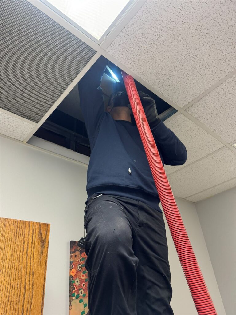 Warrior technician cleaning ductwork above a suspended office ceiling in Richardson, TX