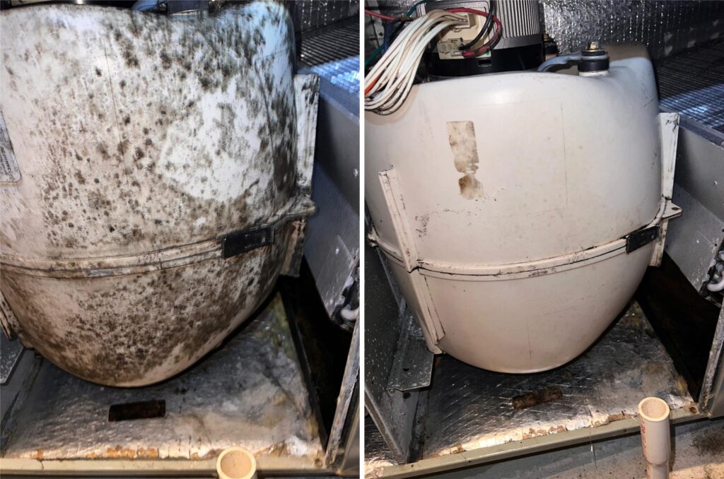 Moldy HVAC blower before and after professional cleaning in Dallas, TX